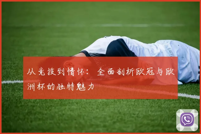从竞技到情怀：全面剖析欧冠与欧洲杯的独特魅力