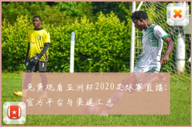 免费观看亚洲杯2020足球赛直播：官方平台与渠道汇总