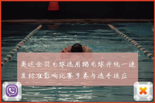 奥运会羽毛球选用鹅毛球并统一速度标准影响比赛节奏与选手适应